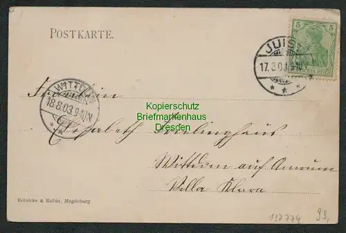 137774 AK Juist Villa Charlotte und dem einzigen Baum auf Juist 1903