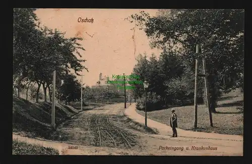 136238 AK Oschatz um 1910 Parkeingang und Krankenhaus