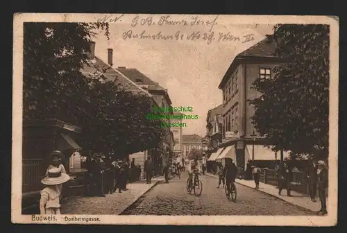 134955 AK Budweis Domherrngasse 1915