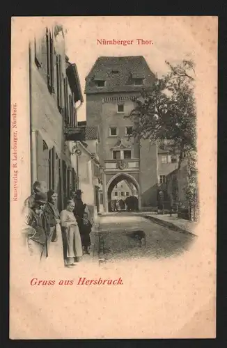 134762 AK Hersbruck Nürnberger Thor um 1900