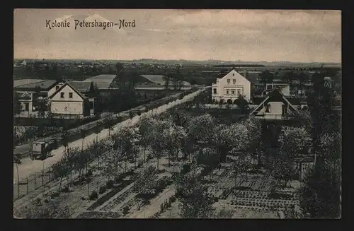 135015 AK Kolonie Petershagen Nord 1911 Ostbahn Verlag Goldiner