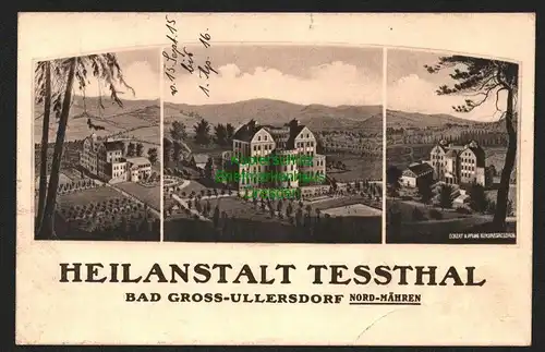 146718 AK Heilanstalt Tessthal Bad Gross Ullersdorf Nord Mähren um 1920