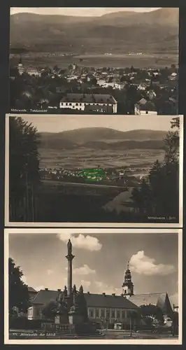 146946 3 AK Mittelwalde Glatzer Bergland 1931 Panorama Schloss