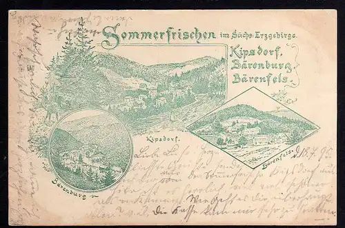 81664 AK Kipsdorf Bärenburg Bärenfels Vorläufer 1895