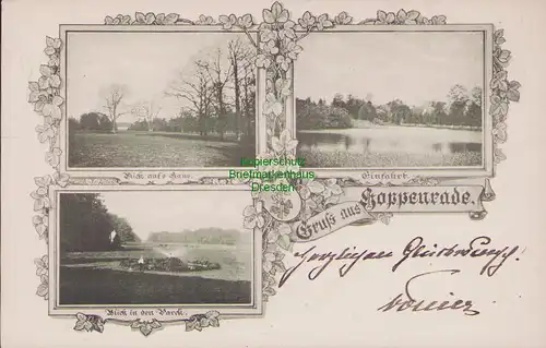 155668 AK Hoppenrade Lkr. Rostock Haus Einfahrt Park um 1905