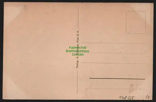 148555 AK Pless O.-S. Pleß Pszczyna 1921 Hedwigsallee