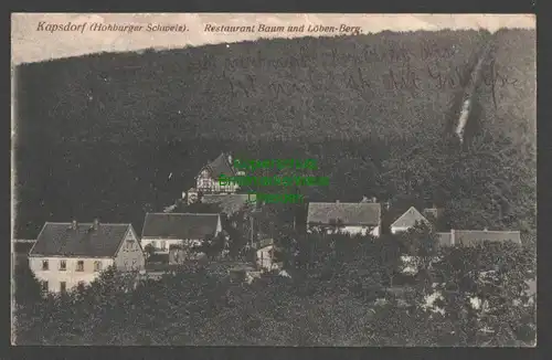 142347 AK Kapsdorf Lossatal Hohburger Schweiz Restaurant Baum Löben Berg 1920