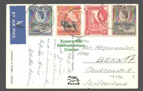 141971 AK The Queen Eliszabeth National Park Uganda Elephants 1956
