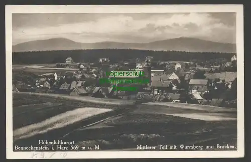 140913 AK Benneckenstein (Harz) Fotokarte Mittlere Teil 1930