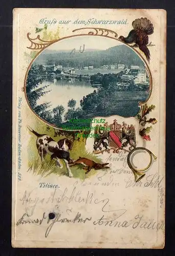 130385 AK Gruß aus dem Schwarzwald Titisee 1901 Jagdhund Hase Wappen geprägt