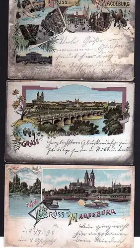 110321 3 AK Magdeburg Litho Gruson Gewächshäuser 1897 Panorama 1902 1898