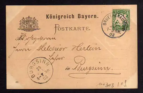 110303 AK Brückenau 1902 Gruss aus ... Edelweis Farn in Papier geschnitten / ger