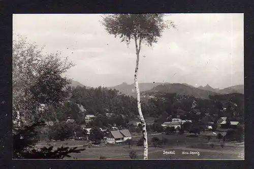 110762 AK Schemmel Böhmische Schweiz Fotokarte um 1930