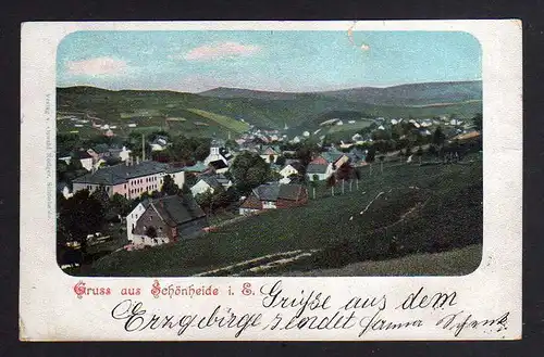 110410 AK Schönheide 1905 Panorama