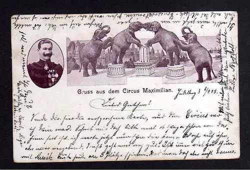 108036 AK Heidelberg 1903 Circus Maximilian Vier Elefanten Dressur Dompteur