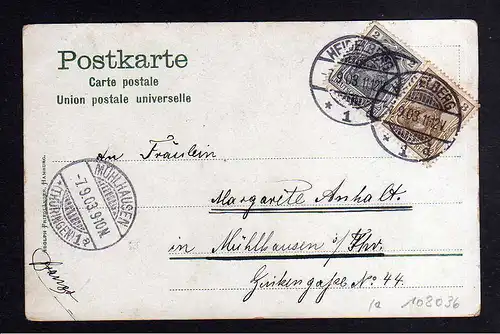 108036 AK Heidelberg 1903 Circus Maximilian Vier Elefanten Dressur Dompteur