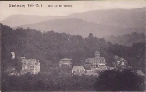 170611 AK Blankenburg Thür. Wald 1915