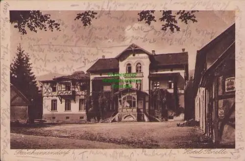 170447 AK Steinkunzendorf im Eulengebirge 1925 Hotel Forelle