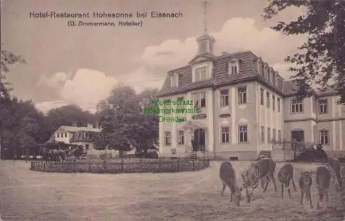 170383 AK Hohesonne bei Eisenach Hotel Restaurant 1911 Rehe