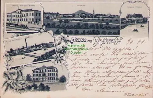 170090 AK Trebsen Mulde Bahnhof Nerchau Papierfabrik Bürgerschule 1899
