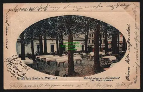 148717 AK Eiche bei Wildpark 1912 Wald-Restaurant Eichenhain Ernst Kersten