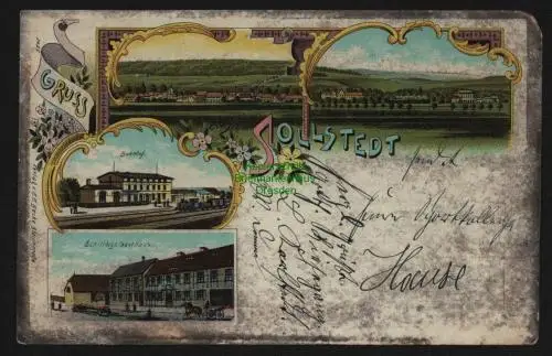 148691 AK Sollstedt 1902 Litho Bahnhof Schillings Gasthaus Panorama