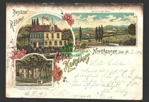 145551 AK Nordhausen 1900 Litho Gruss vom Kurhaus Niedersachswerfen