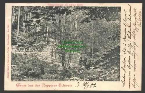 140903 AK Ruppiner Schweiz 1902 Sommermorgen am hohlen Baum Neuruppin
