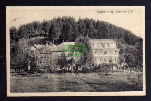 121763 AK Fasanerie bei Laasphe a. L. 1917 Bahnpost Marburg - Kreuztal