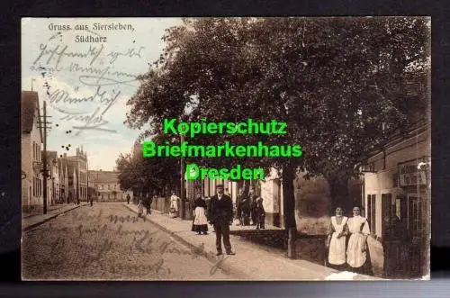 114766 AK Siersleben Südharz um 1910 Straßenansicht