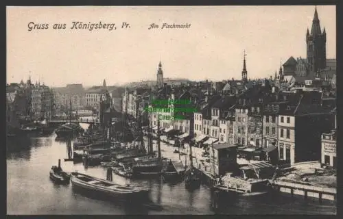 152016 AK Königsberg Opr. um 1910 Am Fischmarkt