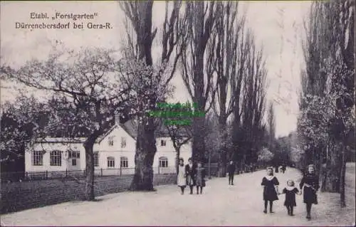 158525 AK Dürrenebersdorf bei Gera Reuss Etablissement Forstgarten 1913