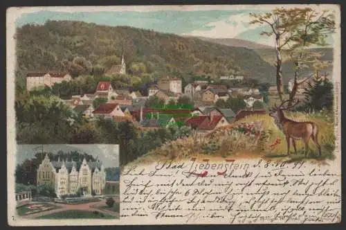 154487 AK Bad Liebenstein Litho 1899 Panorama Schloss Altenstein
