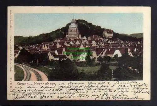 132518 AK Herrenberg Panorama 1902