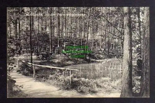 132573 AK Liegau-Augustusbad Waldpark an der Forellenschänke Langebrück 1907 Rad