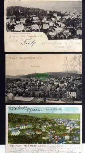 131579 3 AK Bad Freienwalde a. Oder Aussicht vom Kriegerdenkmal 1899 Panorama