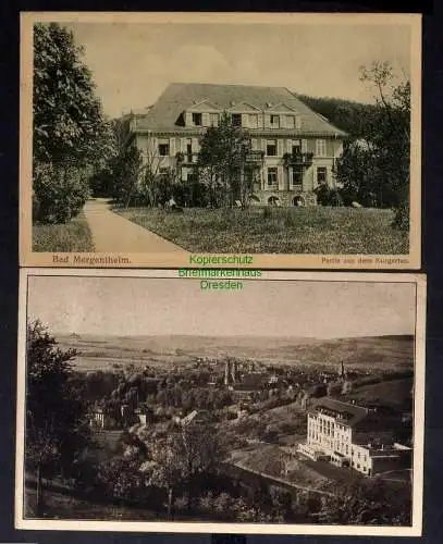 131055 2 AK Bad Mergentheim 1924 Kurgarten Panorama