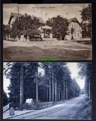 128813 2 AK Kurhaus Hartha bei Tharandt 1919 Waldpartie Waldweg Gedenkstein