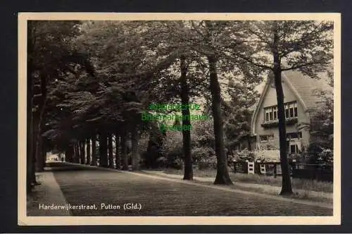 124471 AK Putten Gelderland Niederlande 1951 Allee Fotokarte Harderwijkerstraat