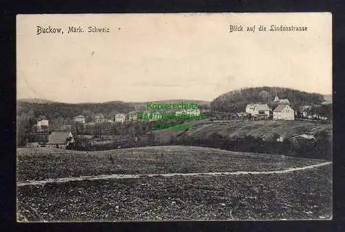 124447 AK Buckow Märkische Schweiz 1908 Blick auf die Lindenstrasse