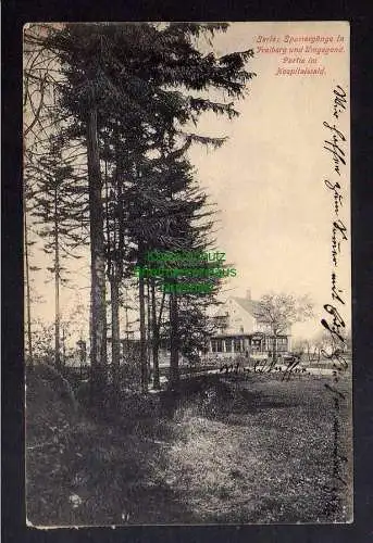 124542 AK Freiberg und Umgegend 1908 Hospitalwald Wald Cafe Gaststätte