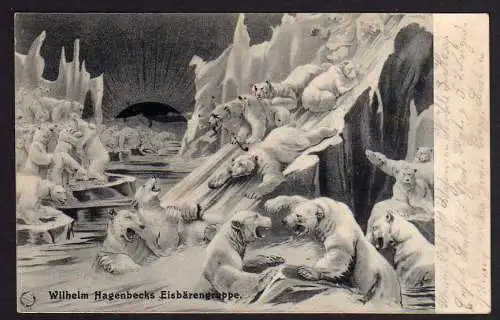 65108 AK W. Hagenbecks Eisbärengruppe gelaufen Berlin 1914