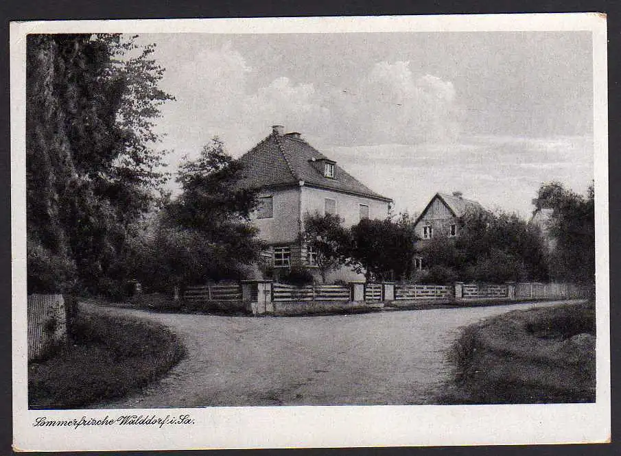 51732 AK Walddorf Straßenpartie Häuser 1955