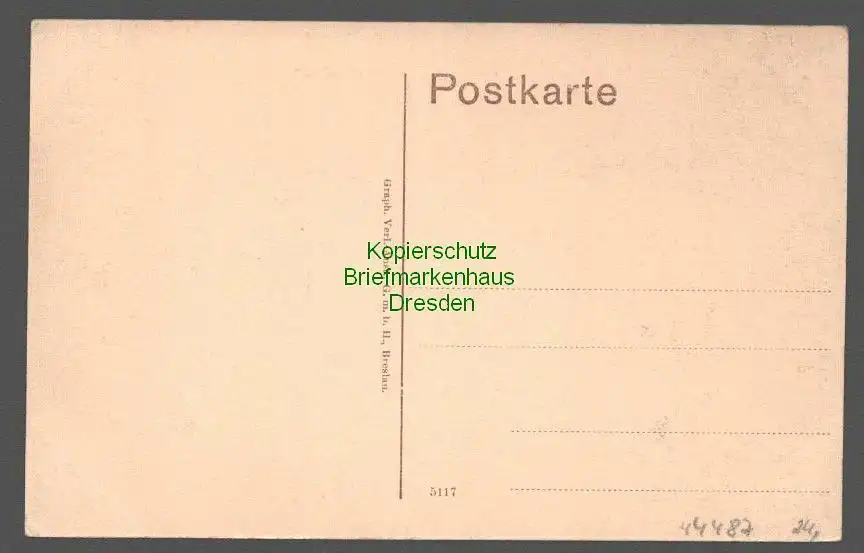 44487 AK Malchin Kalesche Straße um 1910