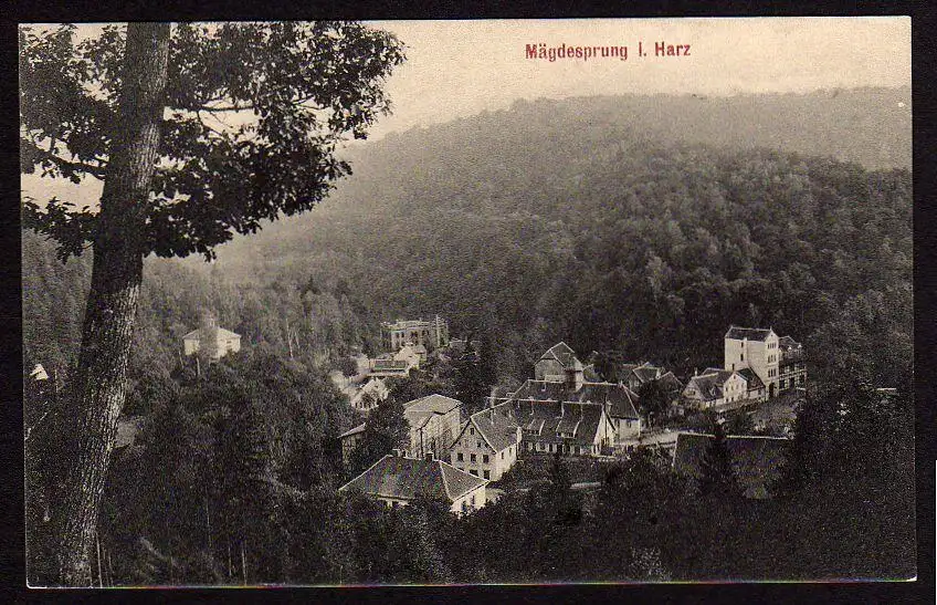 29807 AK Mägdesprung im Harz 1910, ungelaufen Harzgerode