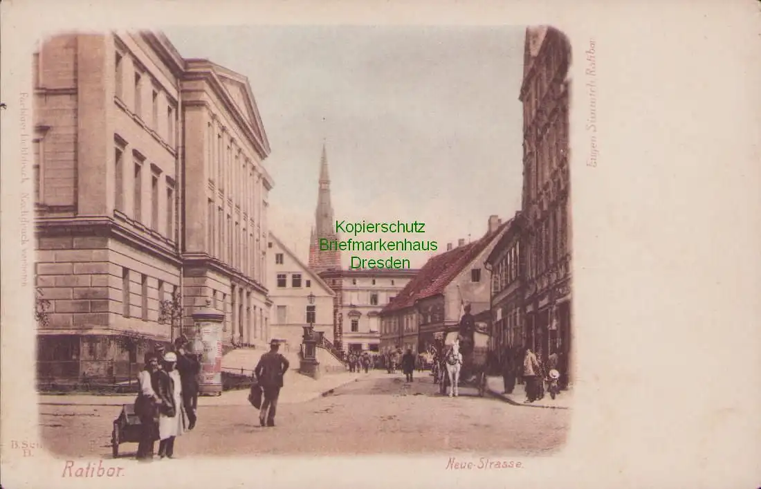 155598 AK Bad Charlottenbrunn Jedlina-Zdroj Neue Strasse um 1910