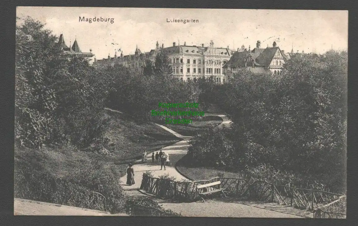 138434 AK Magdeburg Luisengarten  Park 1909