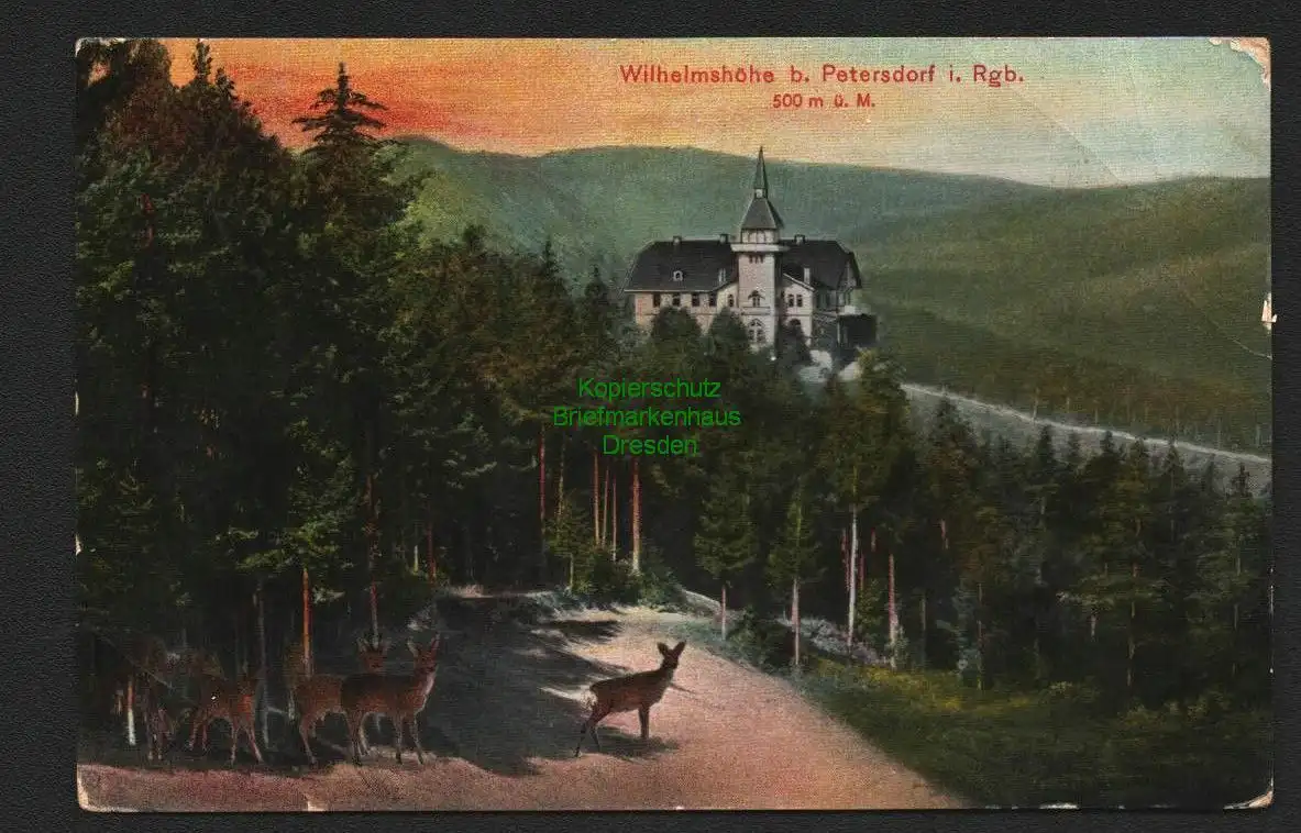 138250 AK Wilhelmshöhe b. Petersdorf Riesengebirge 1912