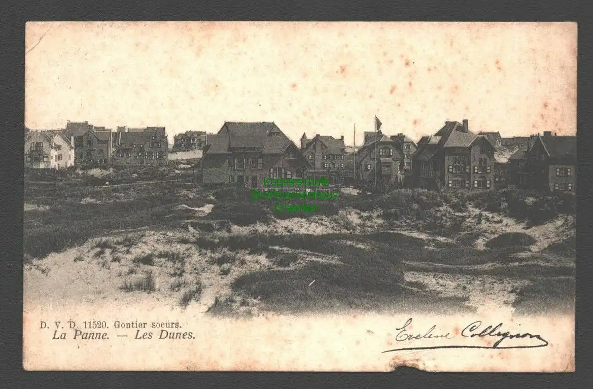 138350 AK La De Panne Belgien 1905 Les Dunes