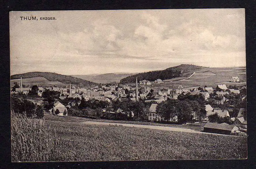 110384 AK Thum Erzgebirge Panorama 1913 Goldhahn Zimmereigeschäft